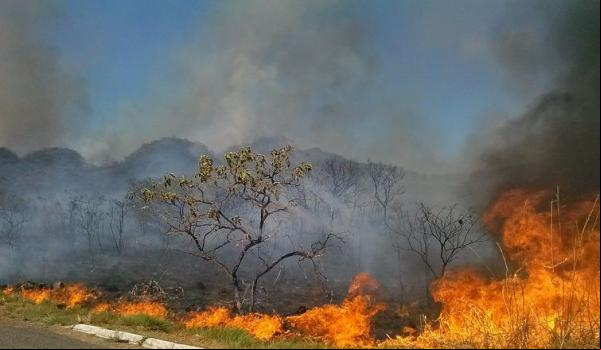 Queimadas provocaram mais de 200 interrupções de energia ou risco para a rede elétrica no Piauí(Imagem:Reprodução)