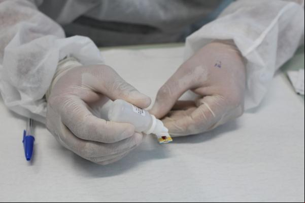 Até agora, morreram 1.649 homens e 1.172 mulheres no estado em decorrência da Covid-19.(Imagem:Mariana Padovan/Secom)