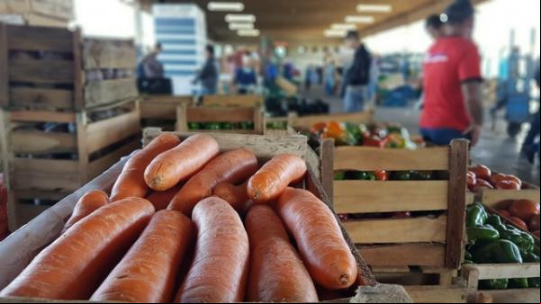 Setores ligados à agropecuária e alimentos retornam ao funcionamento a partir de hoje (13).(Imagem:André Natale/EPTV)