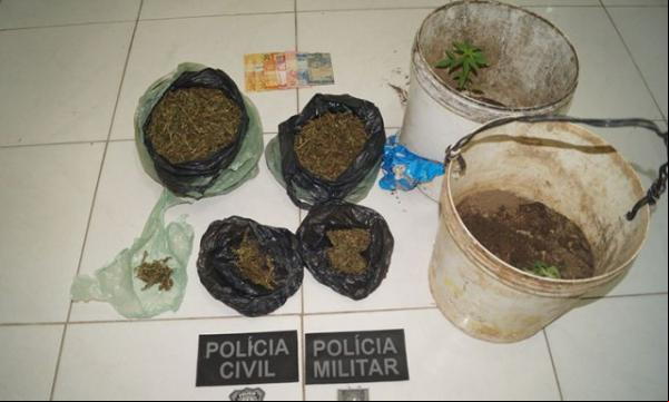 Homem é preso em Simões por cultivo e tráfico de maconha.(Imagem:florianonews.piauiconectado.com)