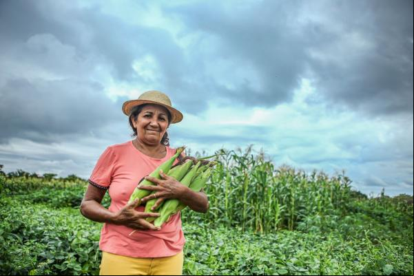 Maria Francisca Gomes, presidenta da Associação de Pequenos Produtores Rurais da Comunidade Chapada do Mucambo.(Imagem:Geirlys Silva)