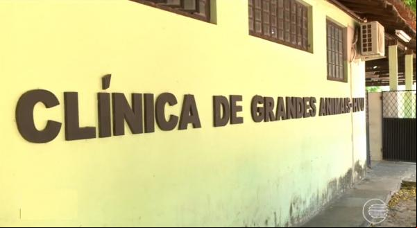 Clínica de Grandes Animais do HVU segue interditada.(Imagem:Reprodução/TV Clube)