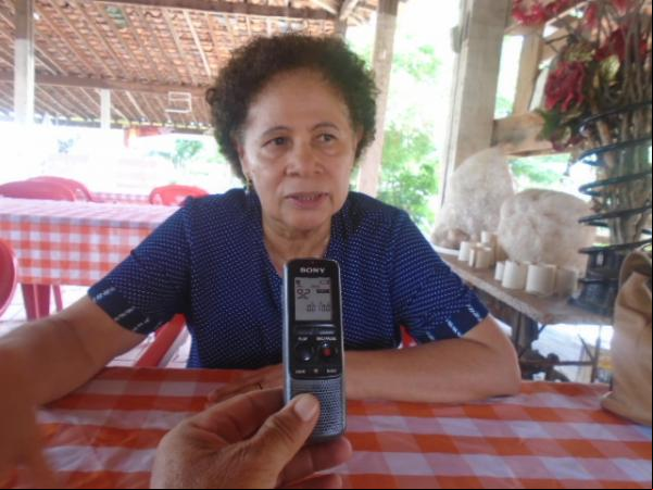 Senadora Regina Sousa (PT)(Imagem:FlorianoNews)