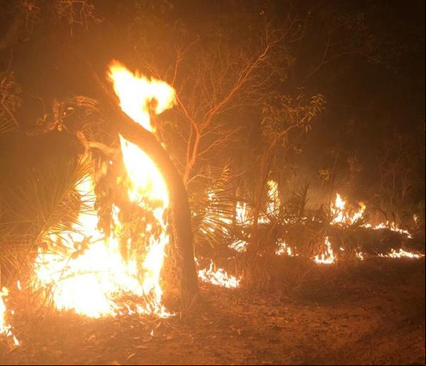 Governo Federal reconhece situação de emergência em São Raimundo Nonato(Imagem:Reprodução)