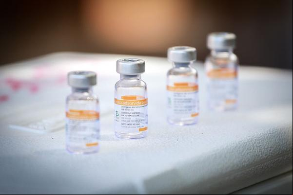 Coronavac e vacina da Astrazeneca reduzem em 75% e 90% risco de morte, diz estudo(Imagem:Roberta Aline)