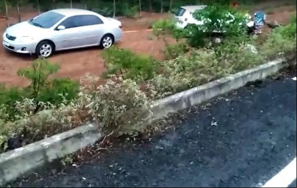 Um homem, não identificado, sofreu ferimentos leves após perder o controle do seu veículo e colidir em um comboio de jumentos na PI-323, no município de Sigefredo Pacheco, na madru(Imagem:Reprodução)