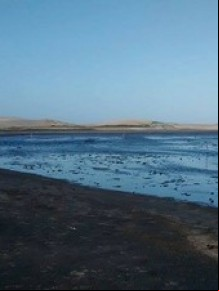 Além do problema da seca, lixo ainda é despejado na lagoa.(Imagem:Joselma Cordeiro/Arquivo Pessoal)