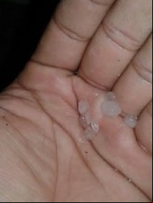Professor mostra granizo que caiu durante a chuva.(Imagem:Renan Pimentel)