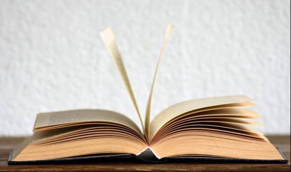 Academia Brasileira de Letras inclui feminicídio, sororidade e home office em vocabulário atual(Imagem:Reprodução)