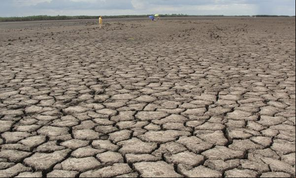 Seca no Piauí(Imagem:Divulgação)