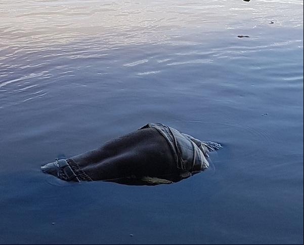 Pescador encontra corpo de homem desaparecido em Floriano.(Imagem:Jc24horas)