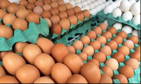 Ovos de galinha.(Imagem:Agência IBGE)