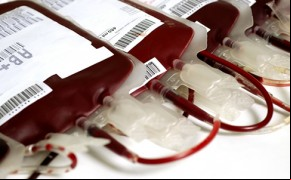 Doe sangue, doe vida..(Imagem:Divulgação)