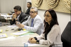 Governo propõe divisão da carga tributária para compras na internet.(Imagem:Alepi)