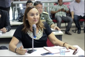 Deputada solicita audiências sobre terceirização e feminicídio.(Imagem:Alepi)