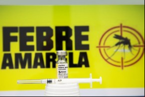 PI cumpriu 70% da meta vacinal e Saúde alerta para risco de febre amarela.(Imagem:Divulgação)