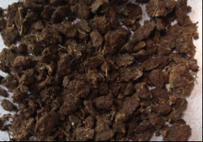 Tráfico de supermaconha cresce em Teresina e chega a 60% das apreensões(Imagem:Depre)