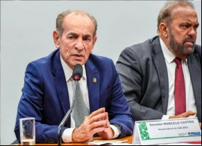 Senador Marcelo Castro (MDB-PI)(Imagem:Reprodução)