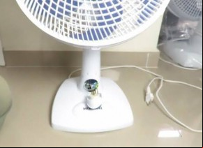 Criança morde fio de ventilador e sofre queimaduras de 3º grau.(Imagem:Divulgação)