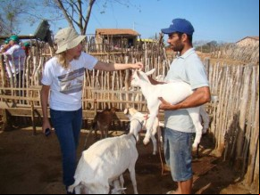 Curso sobre Manejo de Caprinos e Ovinos será desenvolvido em Floriano.(Imagem:Divulgação)