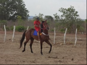 Realizada tradicional Corrida de Cavalos em Arraial-PI.(Imagem:FlorianoNews)