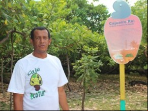 Guia turístico José Felix é outro que torce pelo cajueiro piauiense.(Imagem: Gilcilene Araújo/G1)