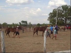 Realizada tradicional Corrida de Cavalos em Arraial-PI.(Imagem:FlorianoNews)