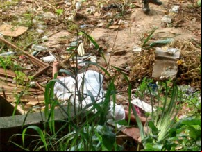 Preso churrasqueiro suspeito da matar namorada e colocar partes íntimas na boca.(Imagem:florianonews.piauiconectado.com)