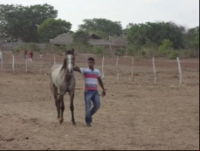 Realizada tradicional Corrida de Cavalos em Arraial-PI.(Imagem:FlorianoNews)