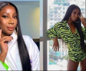 Antes do reality, Camilla fez sucesso com sua coleção de lace wigs - peruca de renda, em tradução livre - e contou que gosta de mudar o visual enquanto a pela transição capilar(Imagem:Reprodução)