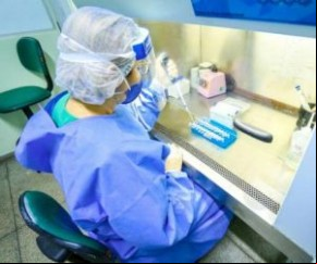 Taxa de resultado positivo para a covid volta a crescer no Piauí, revela Lacen(Imagem:Reprodução)