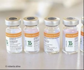 A OMS (Organização Mundial da Saúde) recomenda a aplicação de uma dose de reforço das vacinas contra Covid-19 em pessoas com mais de 60 anos que receberam duas doses da Coronavac o(Imagem:Reprodução)
