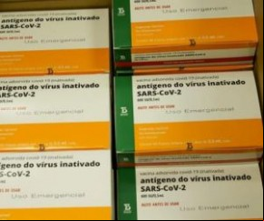O presidente Jair Bolsonaro (sem partido) afirmou nesta segunda-feira (25) que o governo foi informado por autoridades chinesas de que insumos para a fabricação da Coronavac devem(Imagem:Reprodução)