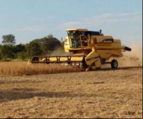 Quadrilha faz vigia de refém e leva R$ 1 milhão de fazenda de soja.(Imagem:florianonews.piauiconectado.com)