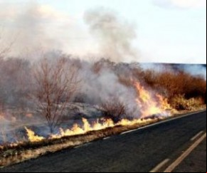 Incêndio atinge município do Piauí há três dias e ameaça residências.(Imagem:Cidades na net)
