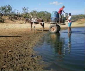 Governo Federal reduz verba para seca no Piauí e Defesa irá contestar decisão.(Imagem:florianonews.piauiconectado.com)
