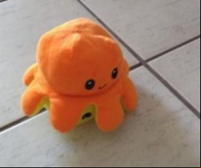 Brinquedo na casa da mãe de uma das vítimas, em Teresina(Imagem:Caroline Oliveira)