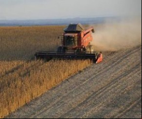 IBGE prevê novo recorde de safra para o Piauí, com alta de 7% na produção.(Imagem:florianonews.piauiconectado.com)