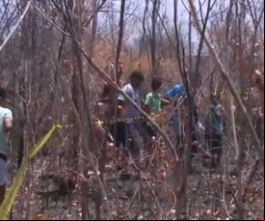Cães encontram corpo de homem com genitais mutilados em matagal.(Imagem:florianonews.piauiconectado.com)