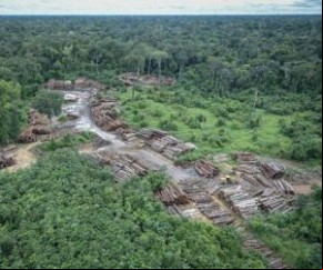 Estudo da Nasa vê Amazônia mais seca e vulnerável.(Imagem:Estadão Conteúdo)