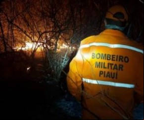 De acordo com o Corpo de Bombeiros, o incêndio teve origem no estado do Ceará, em cima da serra, e se propagou atingindo o Piauí. O combate ao fogo já dura mais de dez dias e está(Imagem:Reprodução)