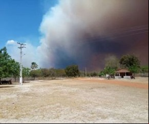 Incêndio na divisa do Piauí com o Ceará entra no 7º dia ainda fora de controle(Imagem:Reprodução)