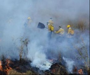Piauí bate recorde em focos de calor com aumento de 45% em relação a 2017.(Imagem:Nicélio Silva/Ibama)