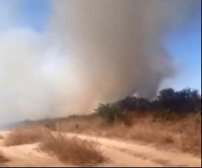 No assentamento não existe brigadas de incêndio e toda vez quando há queimadas, os moradores são os responsáveis por enfrentar o fogo. O PrevFogo, vinculado ao Ibama, é a instituiç(Imagem:Reprodução)