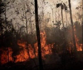Polícia identifica suspeitos de provocar queimadas na Amazônia.(Imagem:Divulgação)