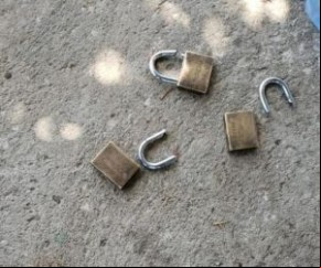 Detentos da Phenitenciária Irmão Guido(Imagem:Reprodução)