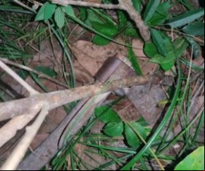 O jovem identificado como Leonardo de Oliveira, de 25 anos, morreu na madrugada desta terça-feira (8) após ser atingido com golpes de machado na cabeça, no município de São João do(Imagem:Reprodução)