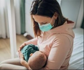 O parlamentar ainda destacou que as evidências científicas demonstram que entre 8 a 11% das gestantes, puérperas, e lactantes que pegam a doença precisam de hospitalização, sendo q(Imagem:Reprodução)