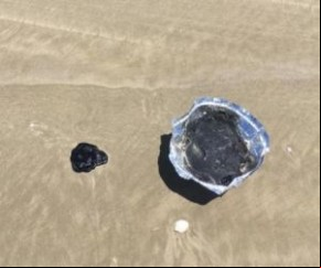 Ibama atualiza registros de manchas de óleo nas praias e inclui Ilha Grande no Piauí.(Imagem:florianonews.piauiconectado.com)