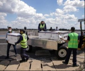 Desde que iniciou a vacinação, em 18 de janeiro, o Piauí recebeu 1,7 milhão de doses e aplicou 976 mil em primeira dose e 340 mil em segunda. Ao todo, pouco mais de 10% da populaçã(Imagem:Reprodução)